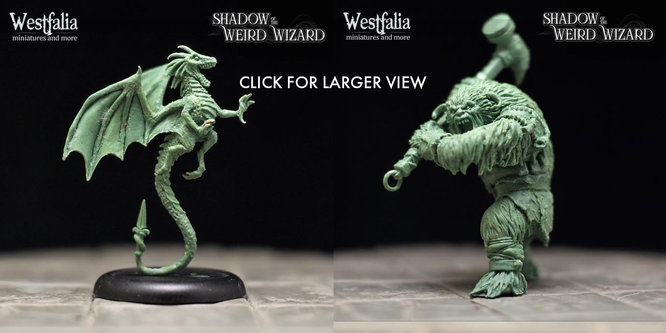 Shadow of the Weird Wizard by Robert J Schwalb — Kickstarter