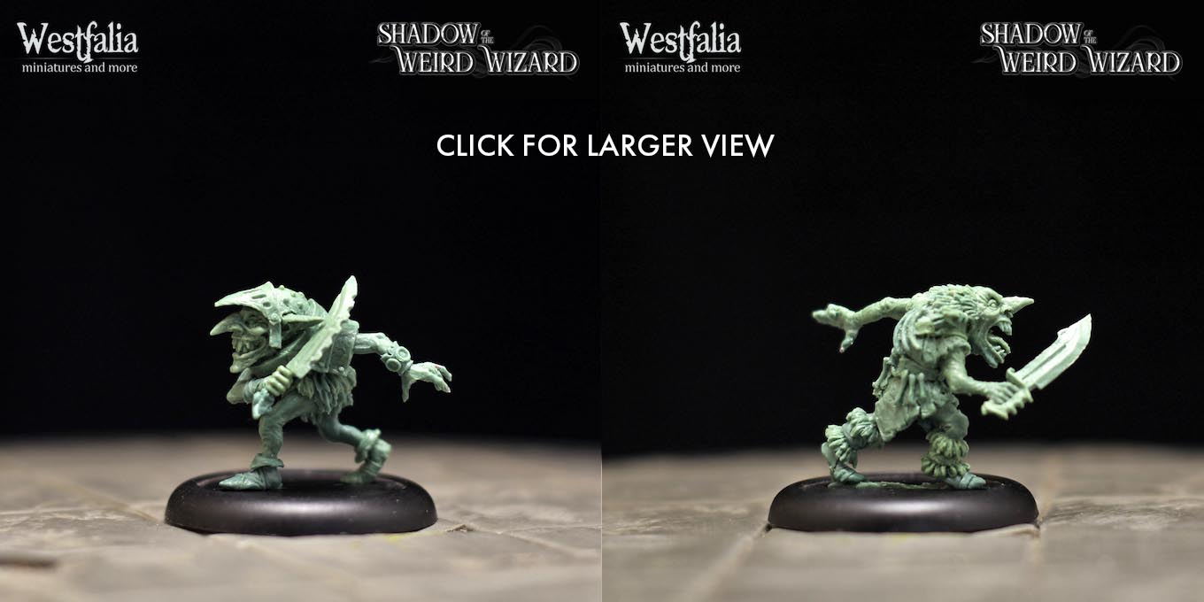 Shadow of the Weird Wizard by Robert J Schwalb — Kickstarter